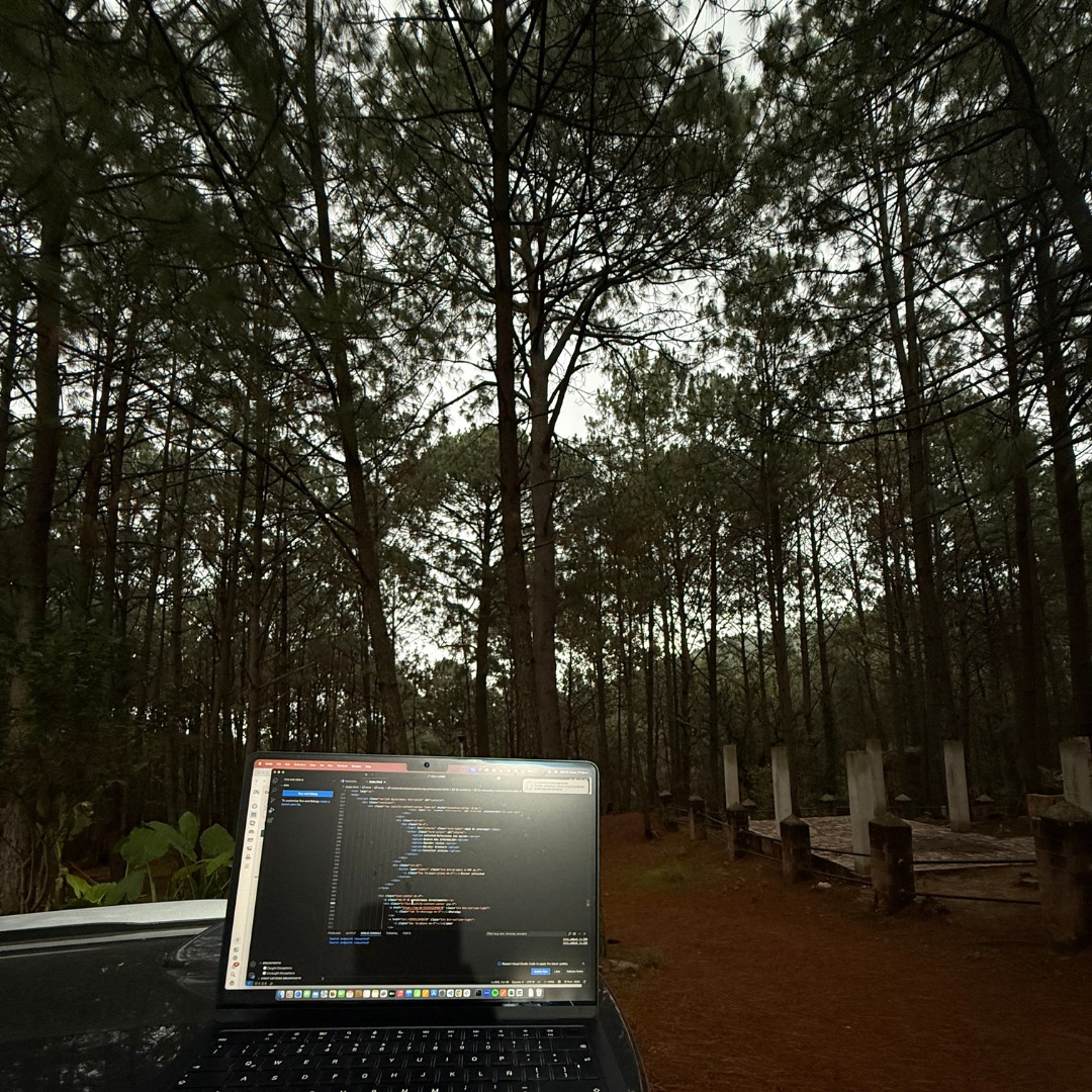 Vista aérea del terreno